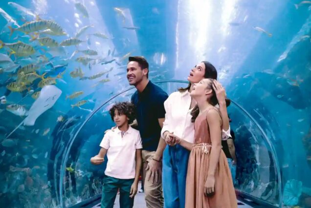 View inside the Aquarium Tunnel at Dubai Aquarium, Dubai Mall